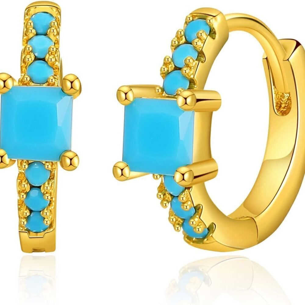 Gold Dainty Huggie Hoop Earrings for Women Men 18K Gold Plated Cubic Zirconia
